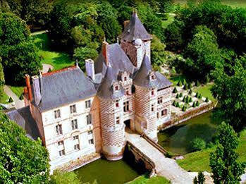 Chateau Des Reaux Chouze-sur-Loire Экстерьер фото