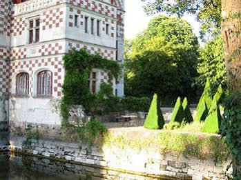 Chateau Des Reaux Chouze-sur-Loire Экстерьер фото