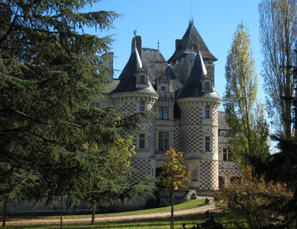 Chateau Des Reaux Chouze-sur-Loire Экстерьер фото