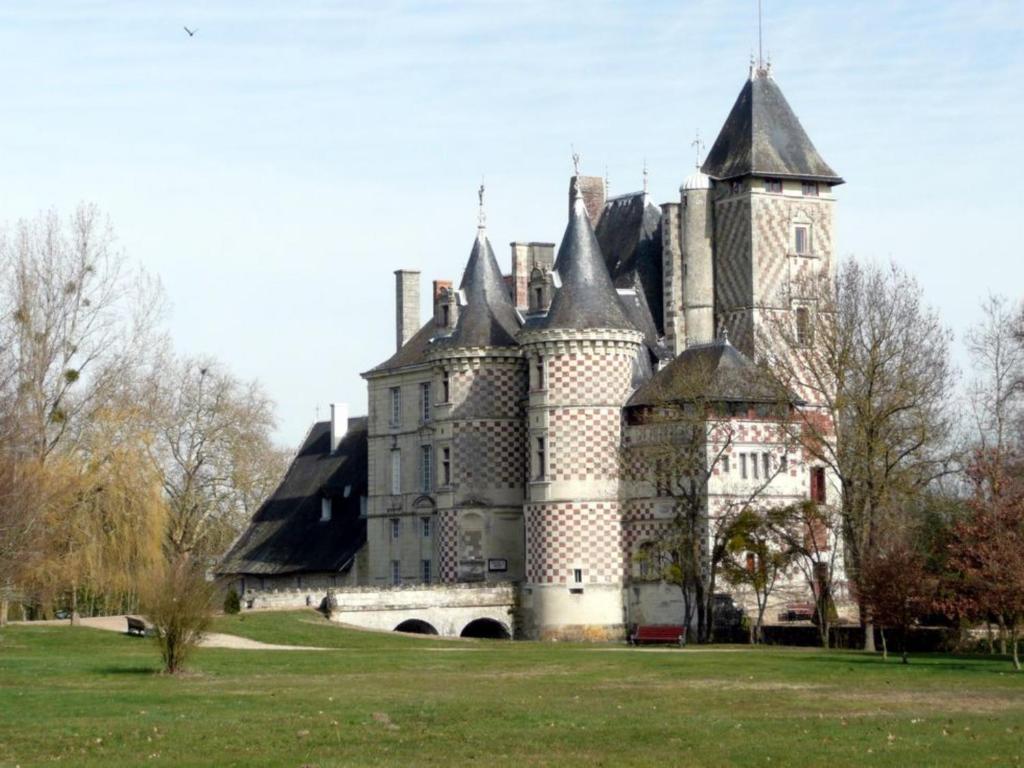 Chateau Des Reaux Chouze-sur-Loire Экстерьер фото