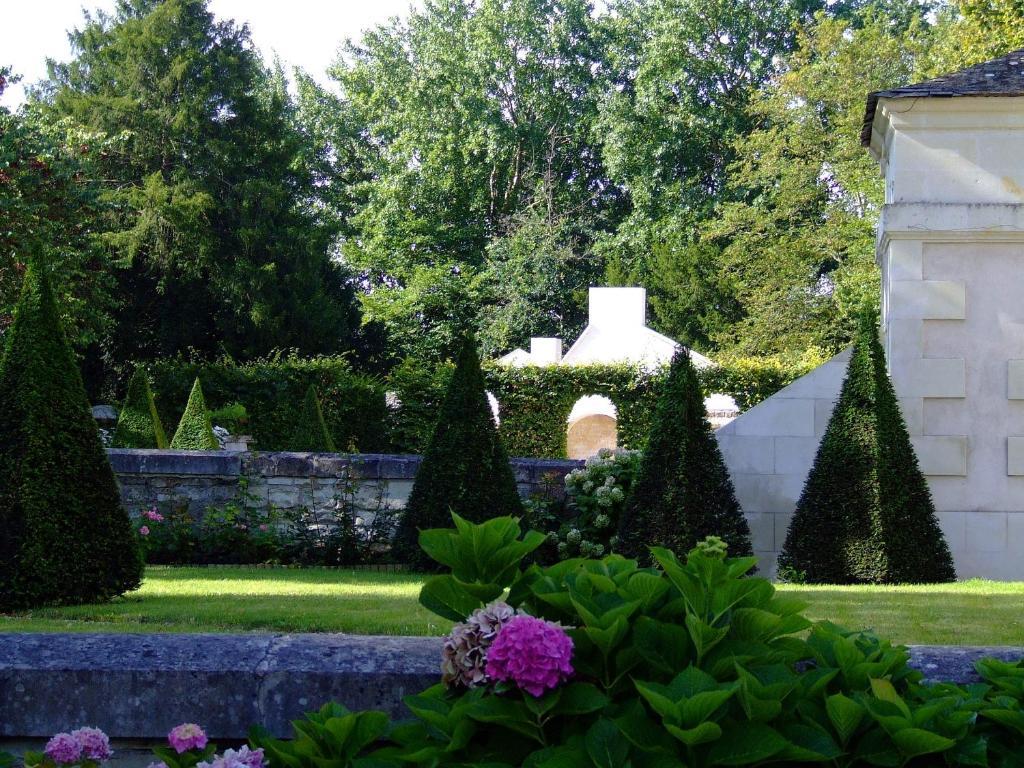 Chateau Des Reaux Chouze-sur-Loire Экстерьер фото