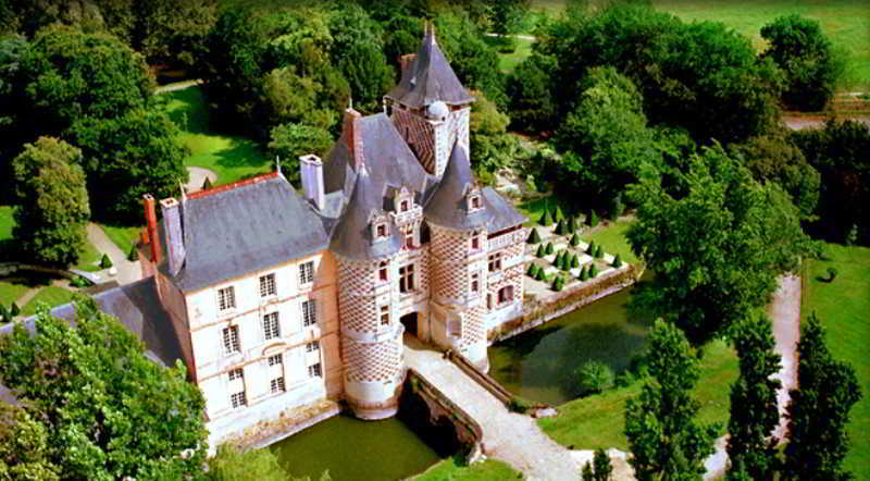 Chateau Des Reaux Chouze-sur-Loire Экстерьер фото